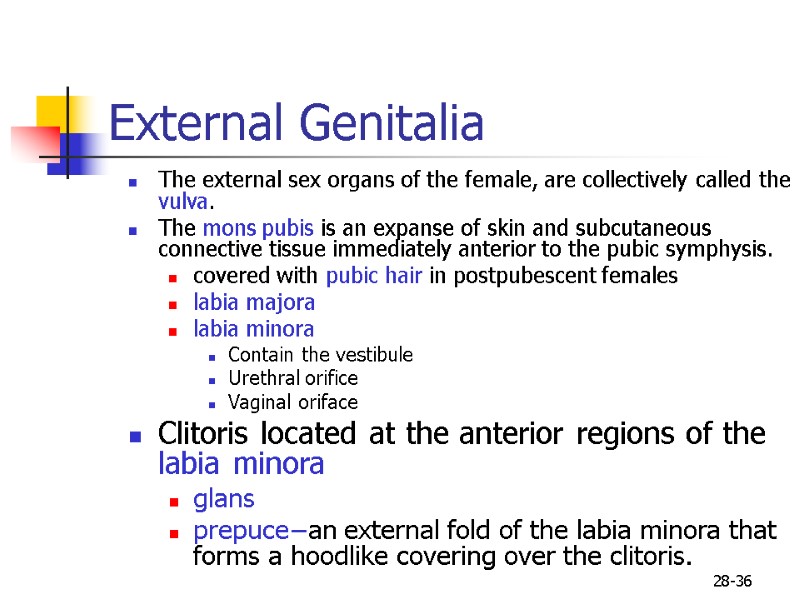 28-36 External Genitalia  The external sex organs of the female, are collectively called